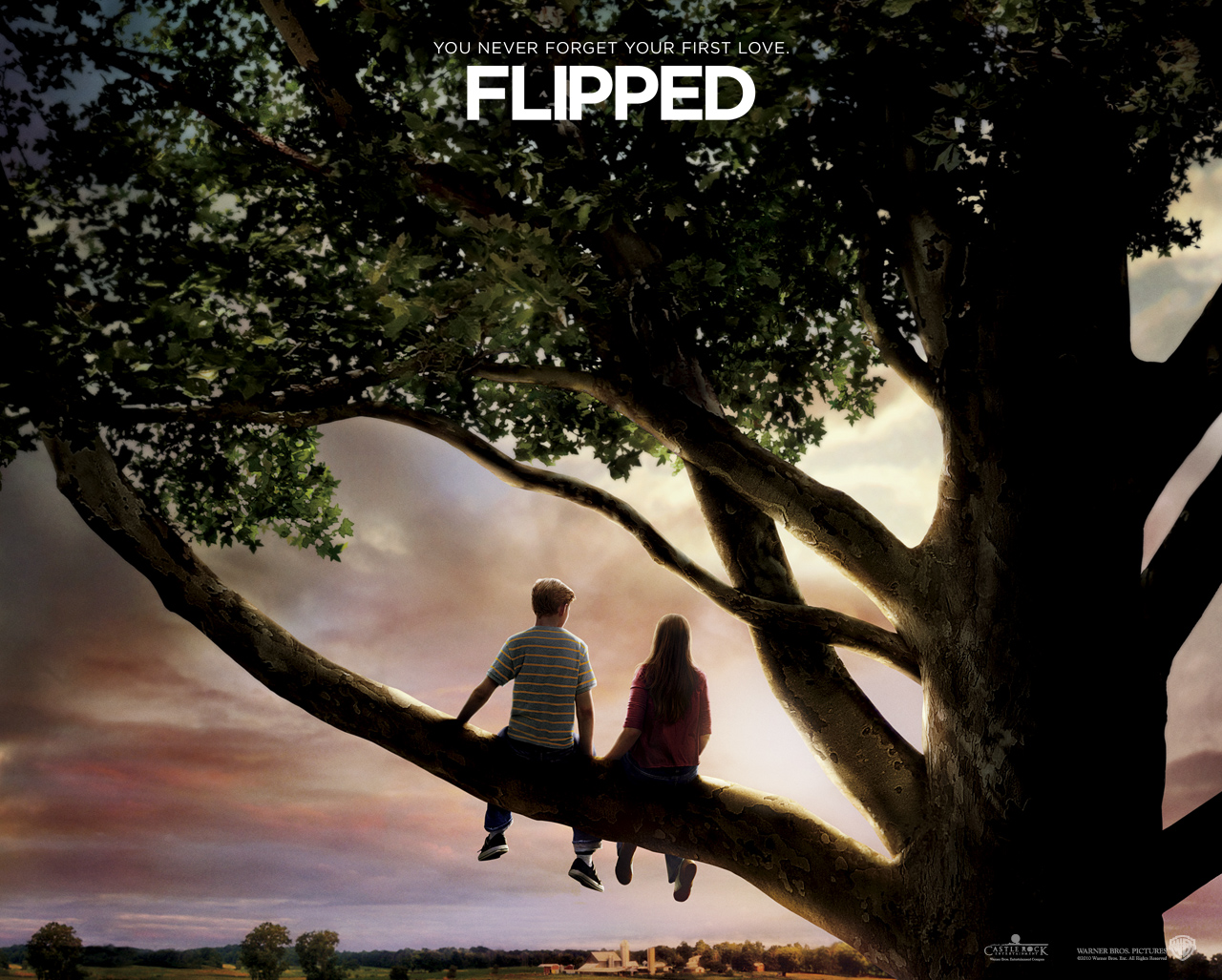 flipped(Ӣİ)