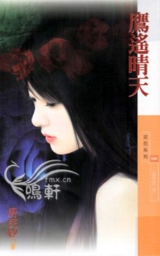鹰遥晴天