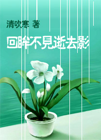 回眸不见逝去影
