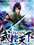 武控天下