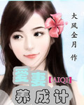 爱妻养成计