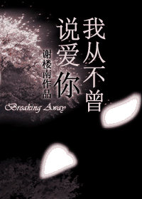 我从不曾说爱你