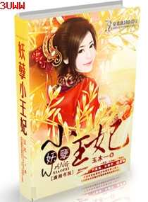 妖孽小王妃