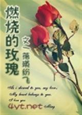 燃烧的玫瑰[np]txt下载