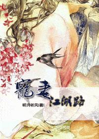 宠妻江湖路