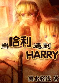 (HP)HARRY