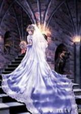 校花校草谁最拽