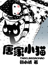 唐家小猫 完结版