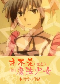 [综]才不是魔法少女